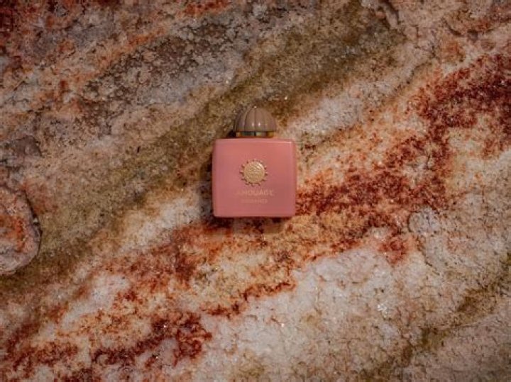A Deep Dive Into Beauty, Fashion, And Engagement