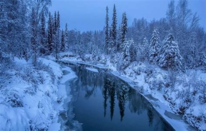 A Loss For The Alaskan Wilderness